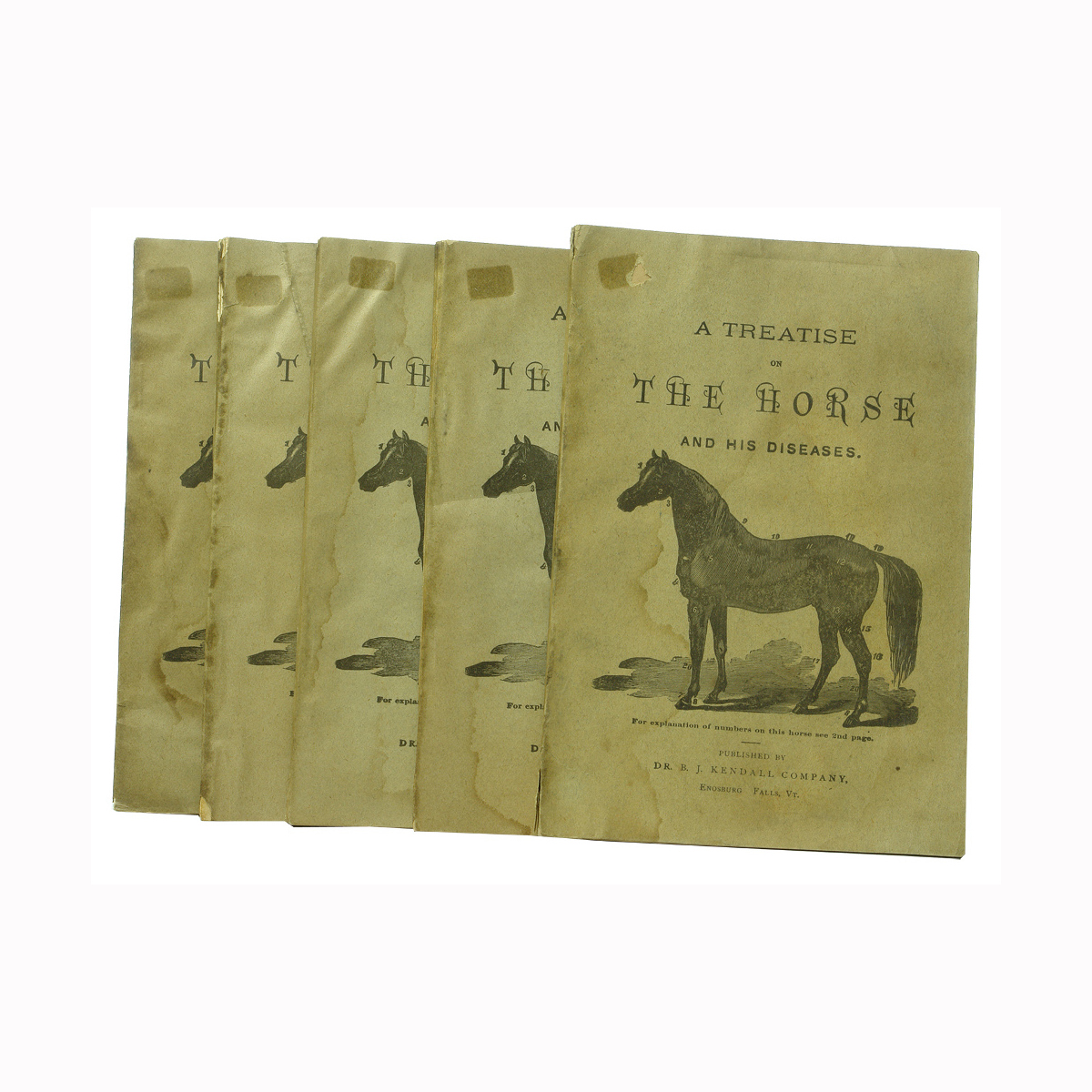 Ephemera: Treatise on the Horse and His Diseases. Dr B. J. Kendall. 5 Copies